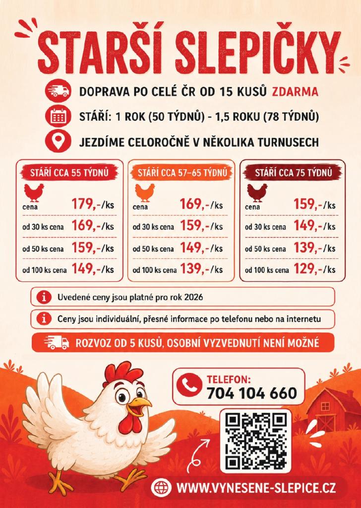 slepičky - plakát